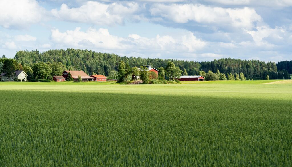 Farm Land