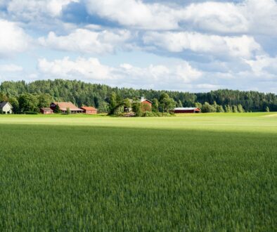 Farm Land