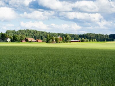 Farm Land